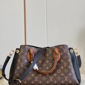 best Louis Vuitton bag