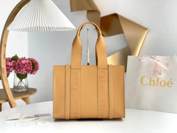 Chloe bag - rep bags