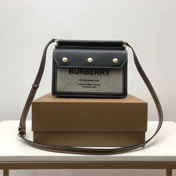 Burberry bag - rep bags