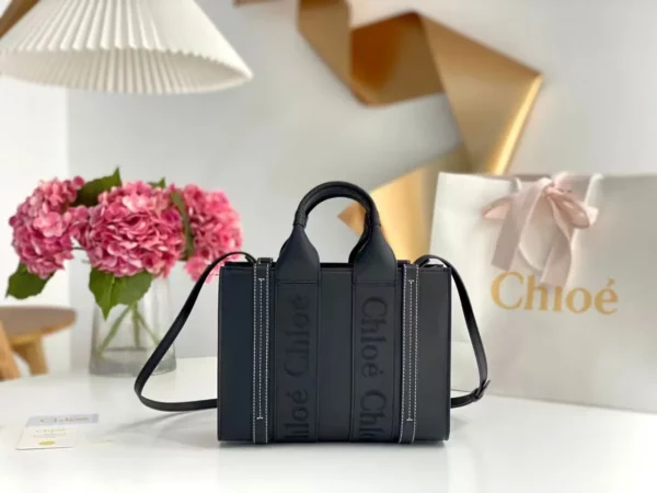 Chloe bag - rep bags