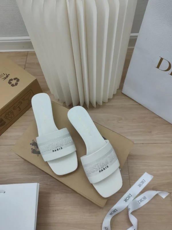 Dior shoes - rep shoes