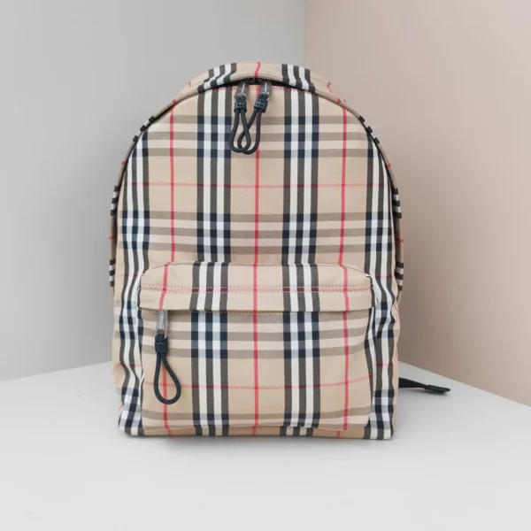 Burberry bag - rep bags