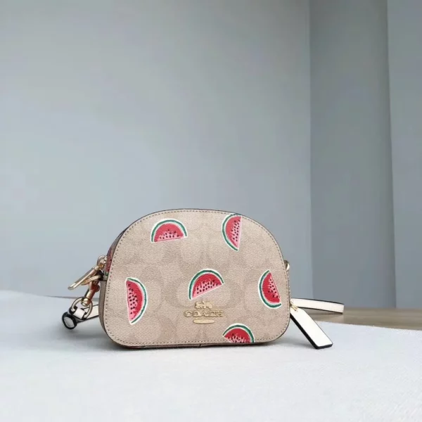 Coach bag - rep bags