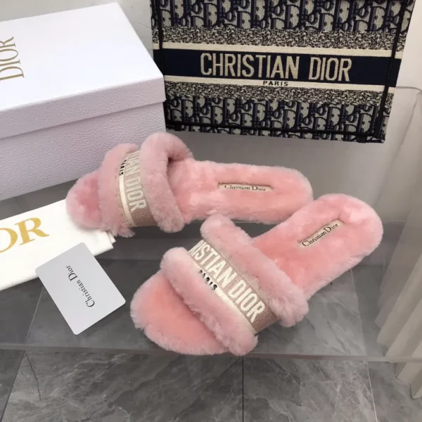 Dior shoes - rep shoes