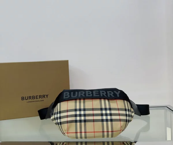 Burberry bag - rep bags