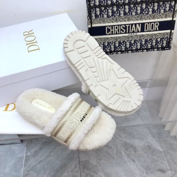 Dior shoes - rep shoes