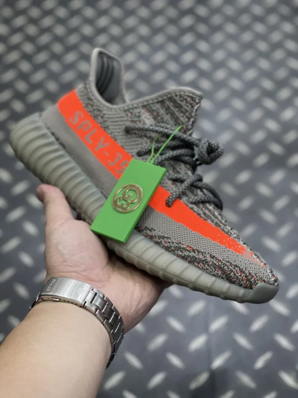 Yeezy shoes - Reps shoes