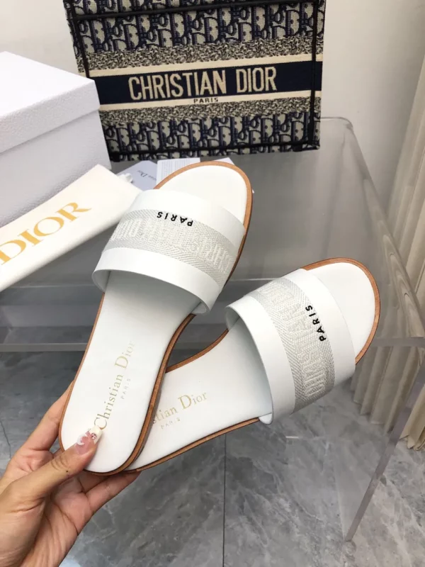 Dior shoes - rep shoes