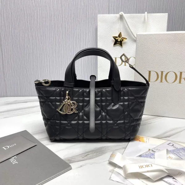 Dior bag - replica dior bags