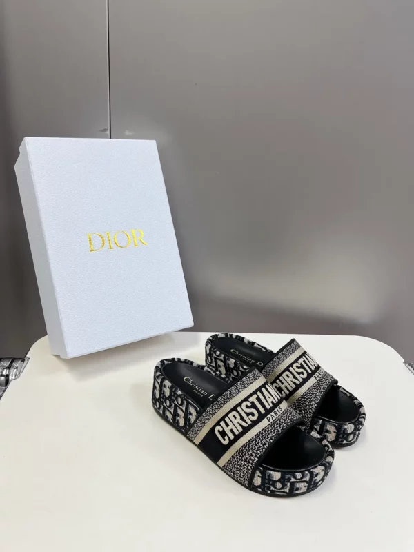 Dior shoes - rep shoes