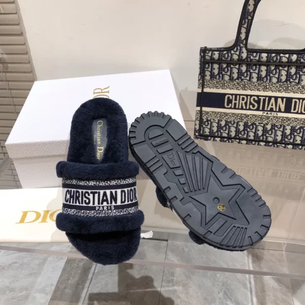 Dior shoes - rep shoes