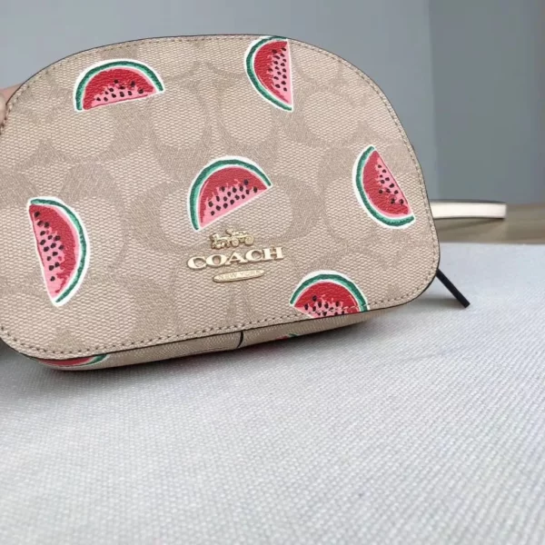 Coach bag - rep bags