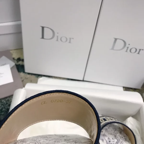 Dior shoes - Reps shoes