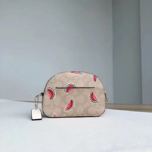 Coach bag - rep bags