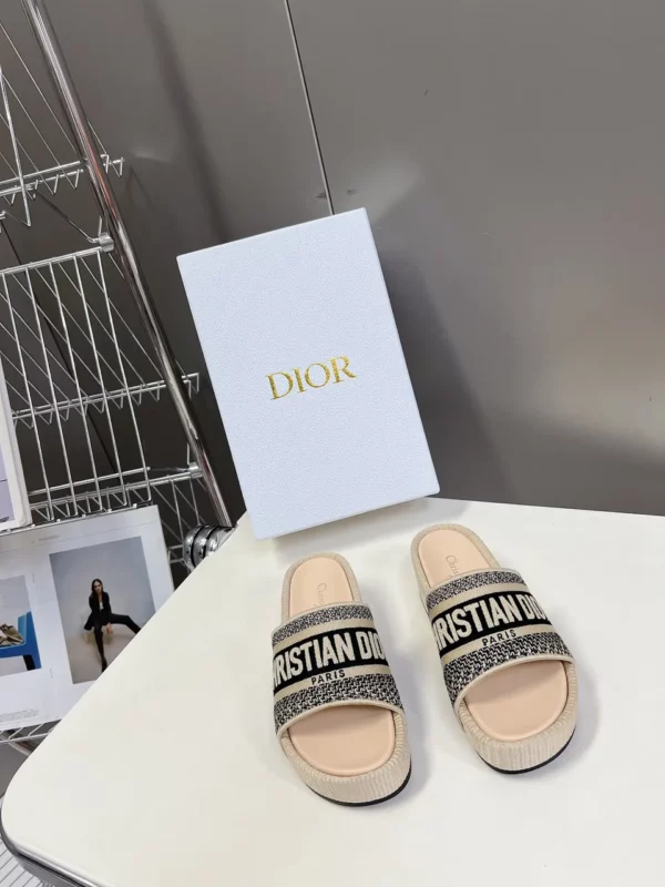 Dior shoes - rep shoes