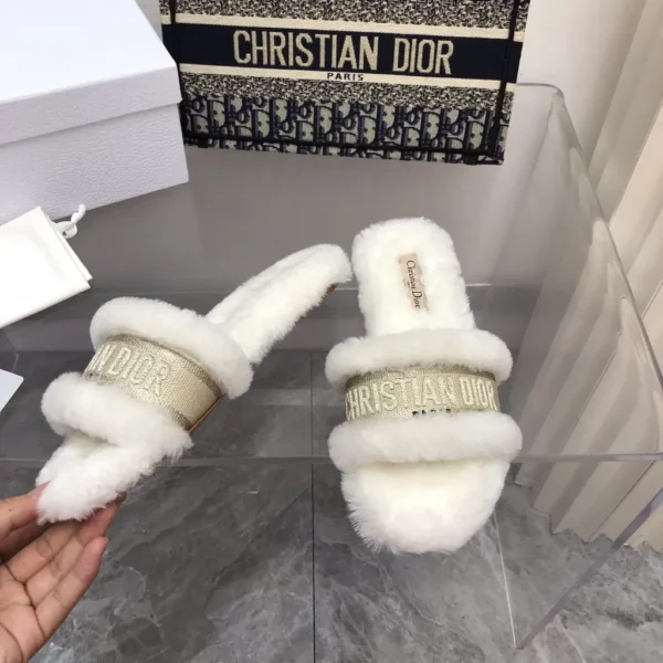 Dior shoes - Reps shoes