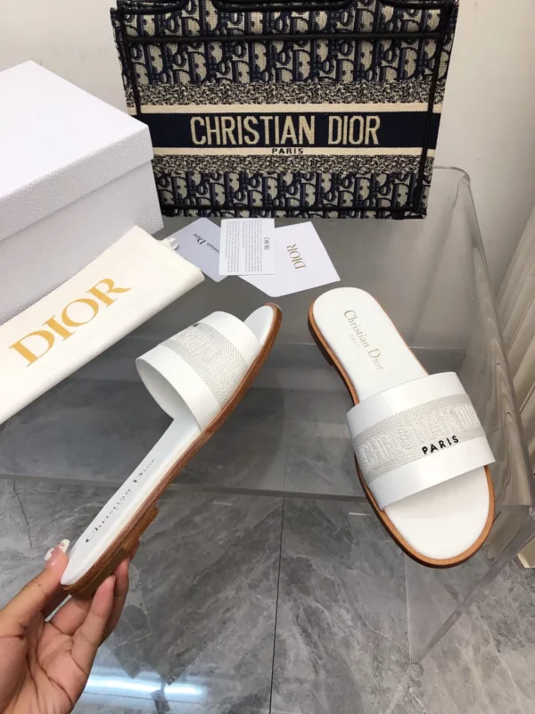 Dior shoes - rep shoes