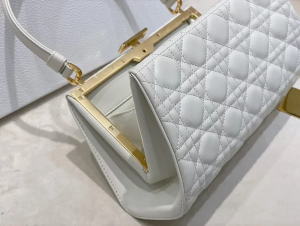 Dior bag - replica dior bags