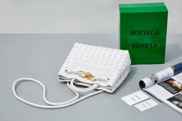 Bottega Veneta bag - rep bags