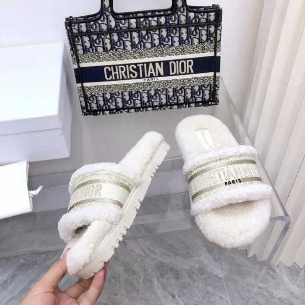 Dior shoes - rep shoes