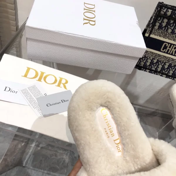 Dior shoes - Replica shoes