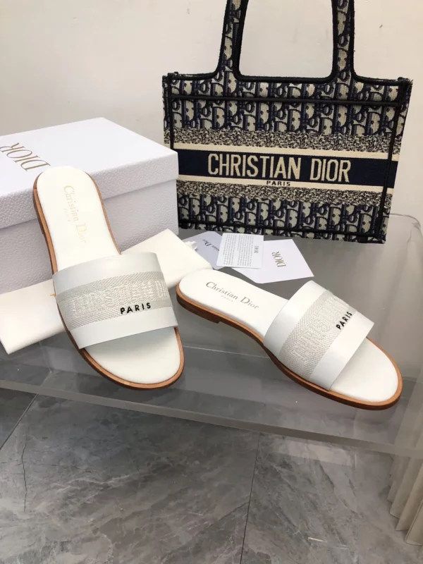 Dior shoes - rep shoes