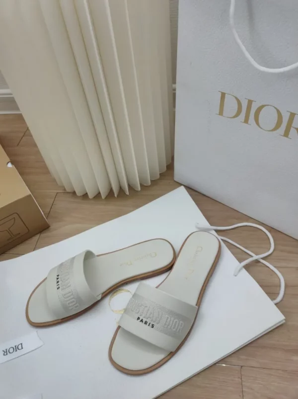 Dior shoes - rep shoes