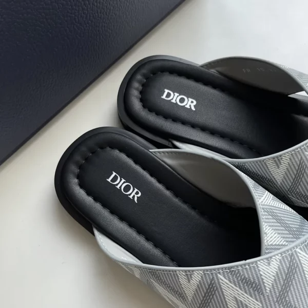 Dior shoes - rep shoes