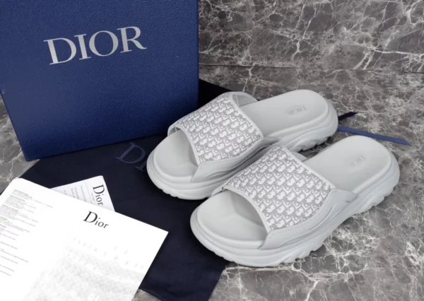 Dior shoes - rep shoes