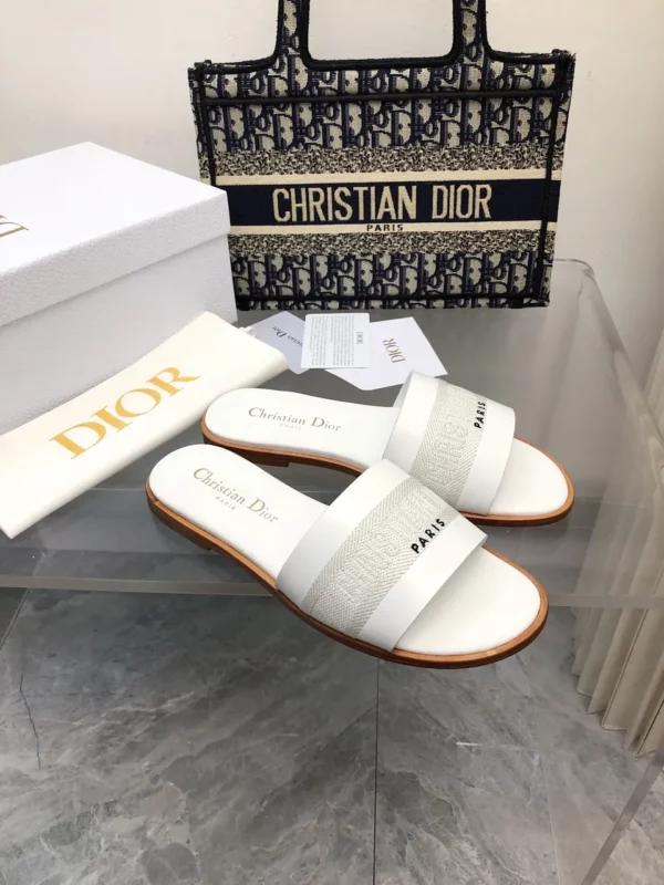 Dior shoes - rep shoes