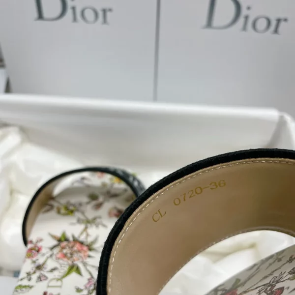 Dior shoes - Replica shoes