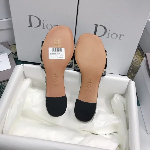 Dior shoes - rep shoes