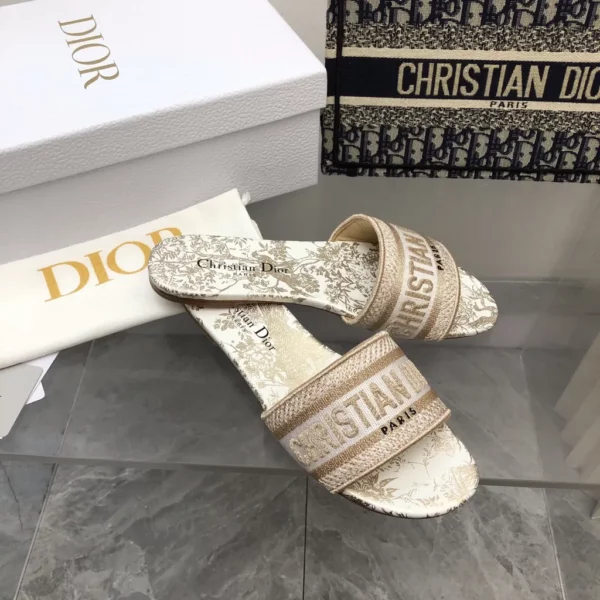 Dior shoes - rep shoes