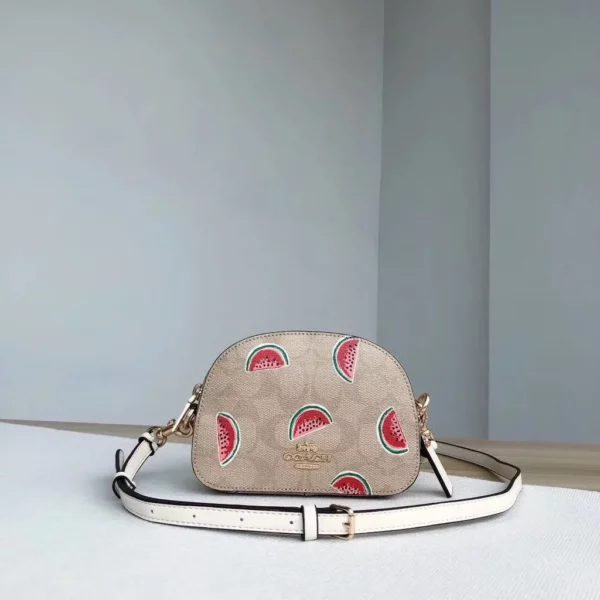 Coach bag - rep bags