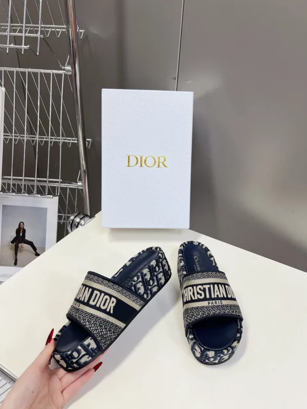 Dior shoes - rep shoes