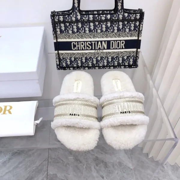 Dior shoes - rep shoes