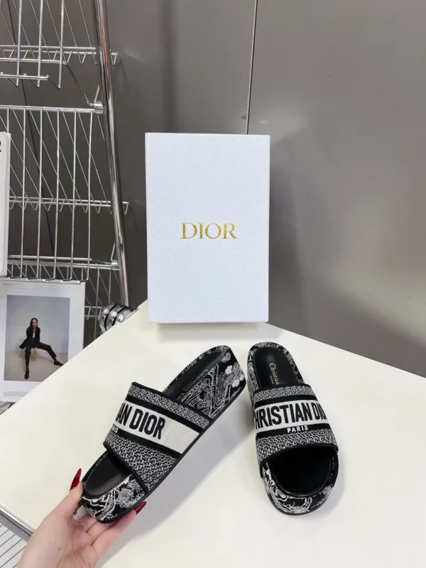 Dior shoes - rep shoes