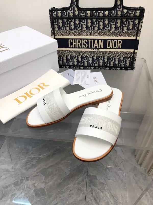 Dior shoes - rep shoes