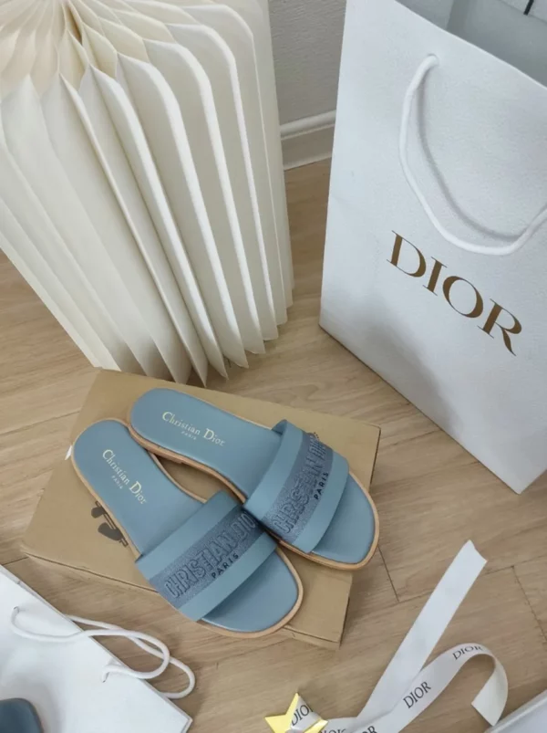 Dior shoes - rep shoes