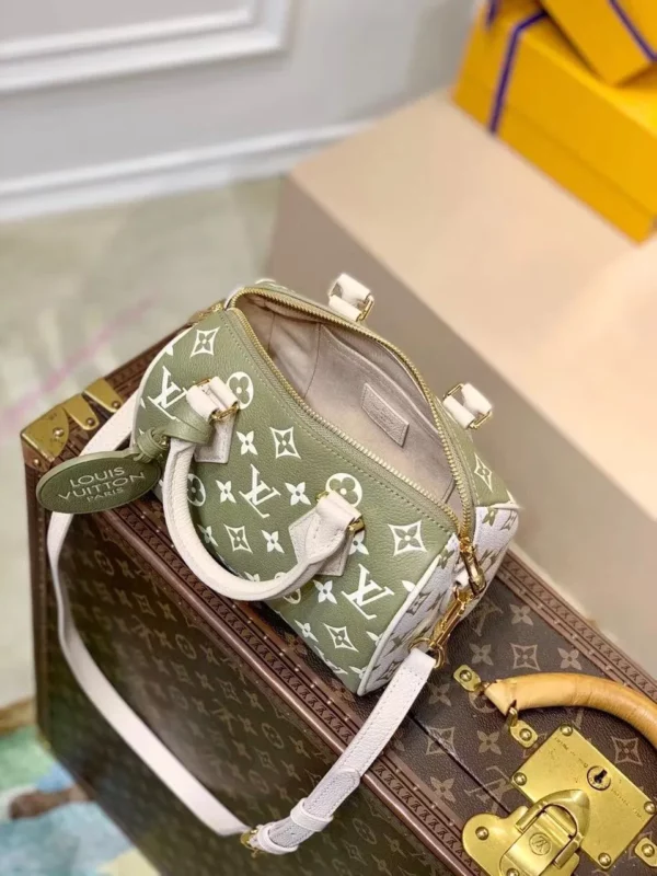 Louis Vuitton bag - louis vuitton replica bags