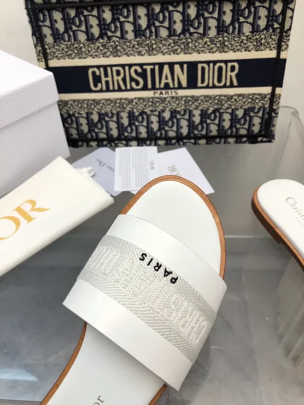 Dior shoes - rep shoes