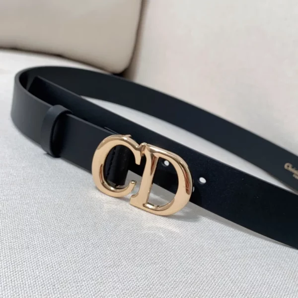 Dior belt