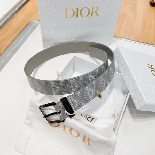 Dior belt