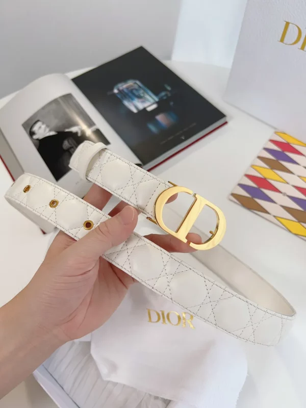 Dior belt