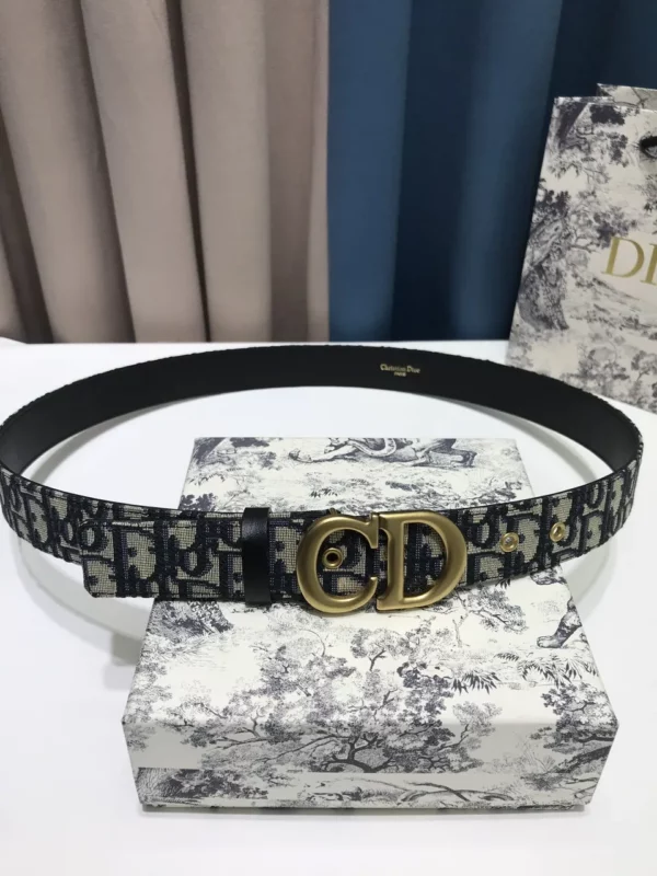 Dior belt