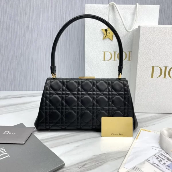 Dior bag - replica dior bags