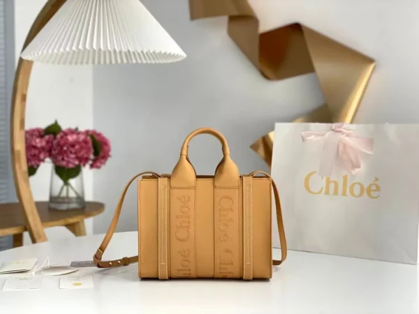 Chloe bag - rep bags