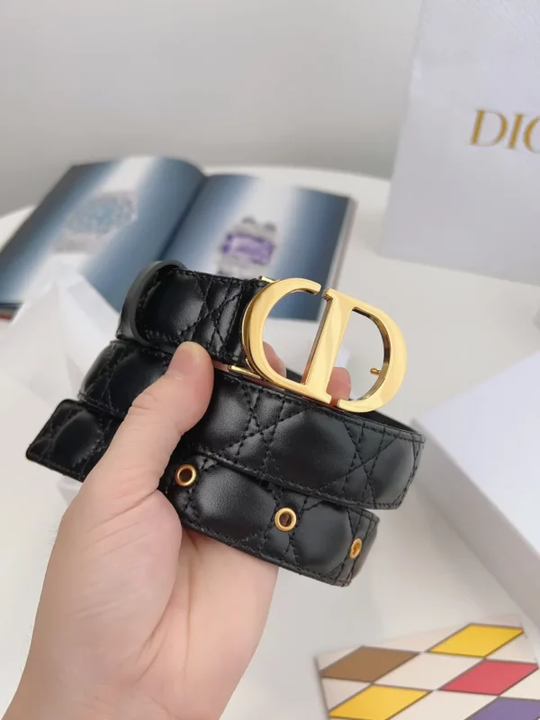 Dior belt