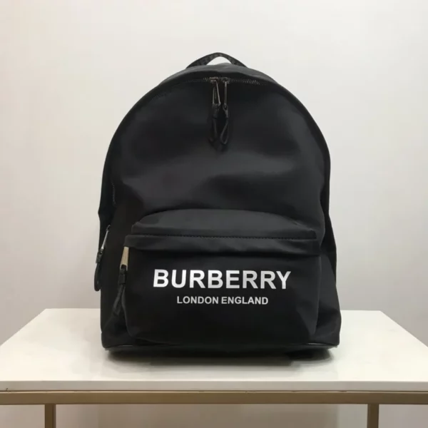 Burberry bag - rep bags