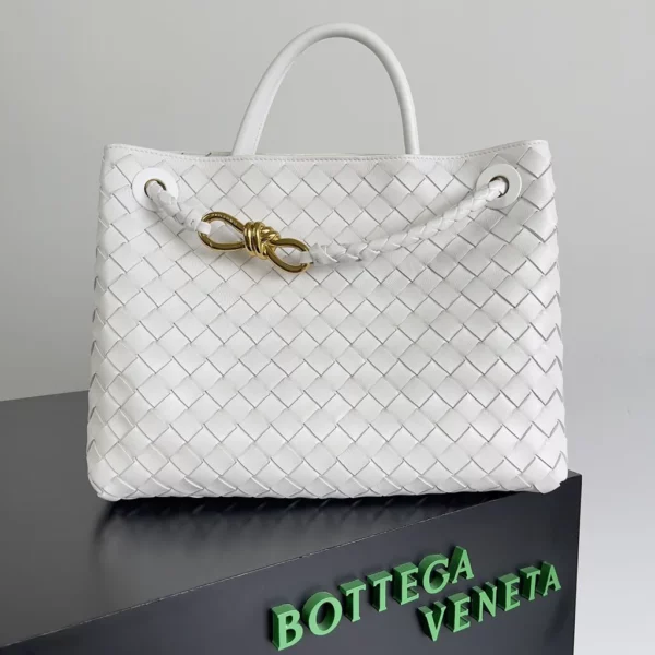 Bottega Veneta bag - rep bags